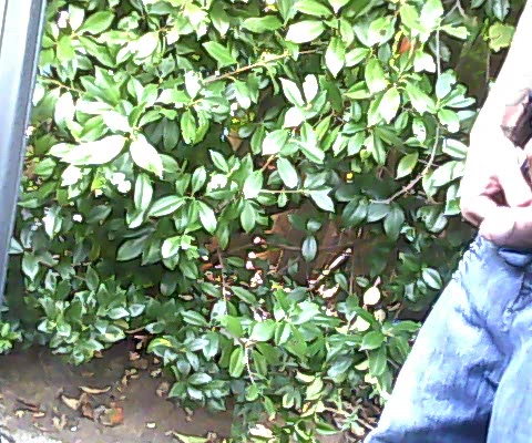 Joboe910 08 21 02