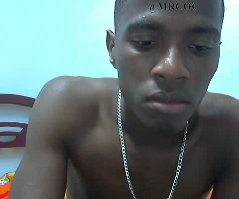 Mrcock24cm 01 08 02