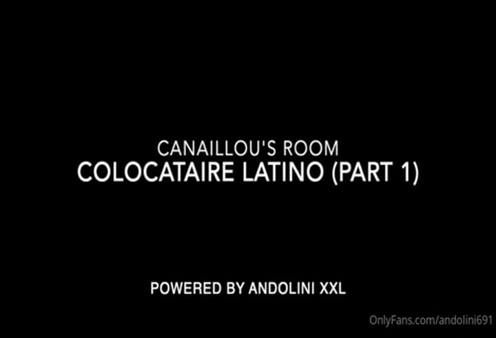 Andolini691 151479541