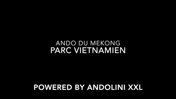AndoliniXXL Vietnamese Park