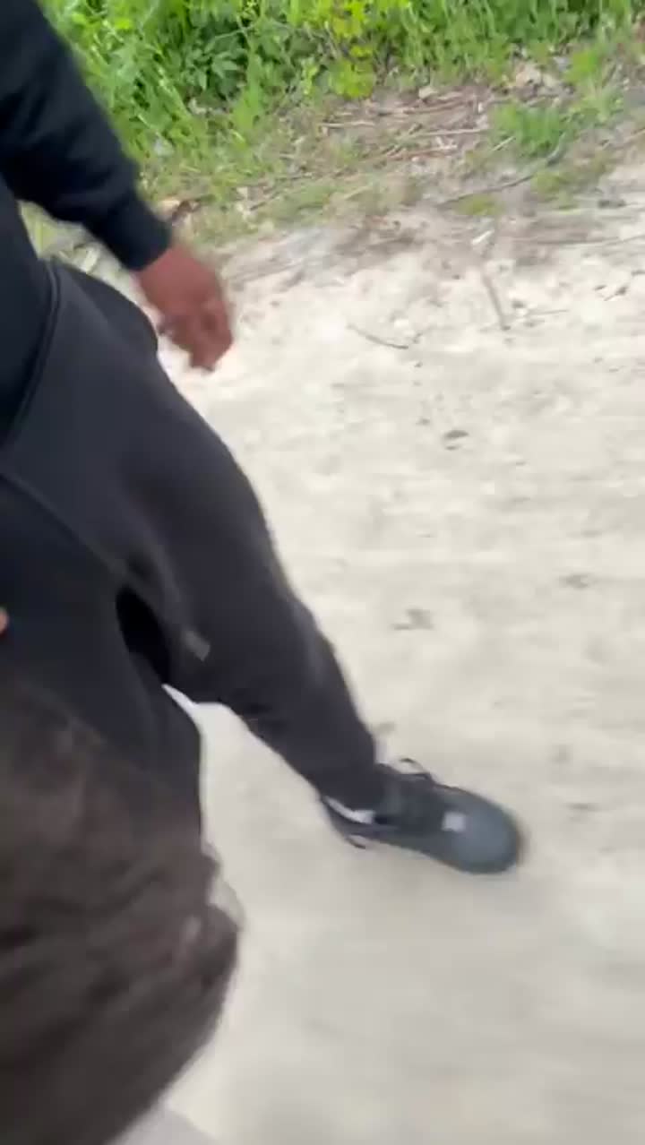 Bbc Trails Tranny