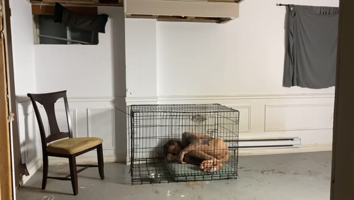 Bo Sinn Cage