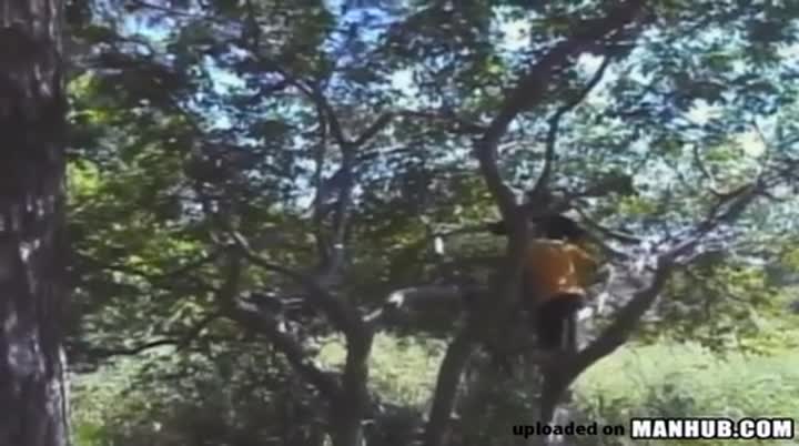 Boys Sex Tree Ground