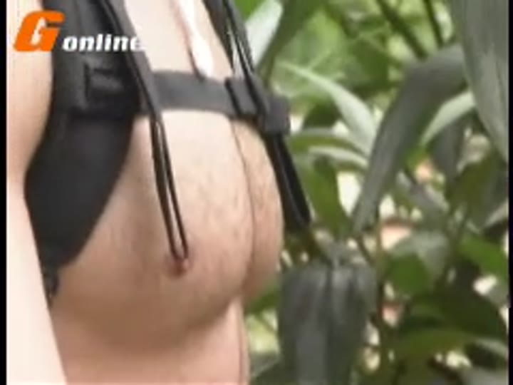 Breno Brasil