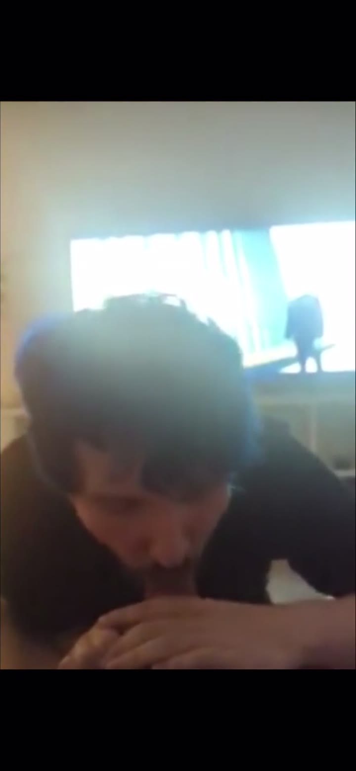 Destiny Nick No Audio 1min