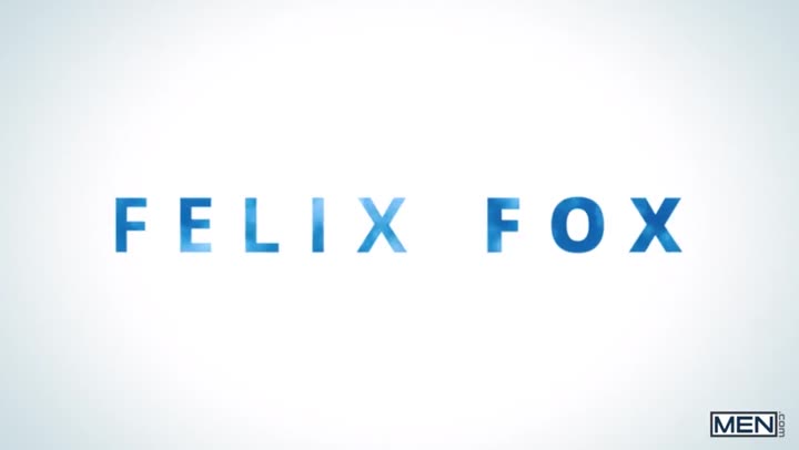Felix Fox Slim Saint
