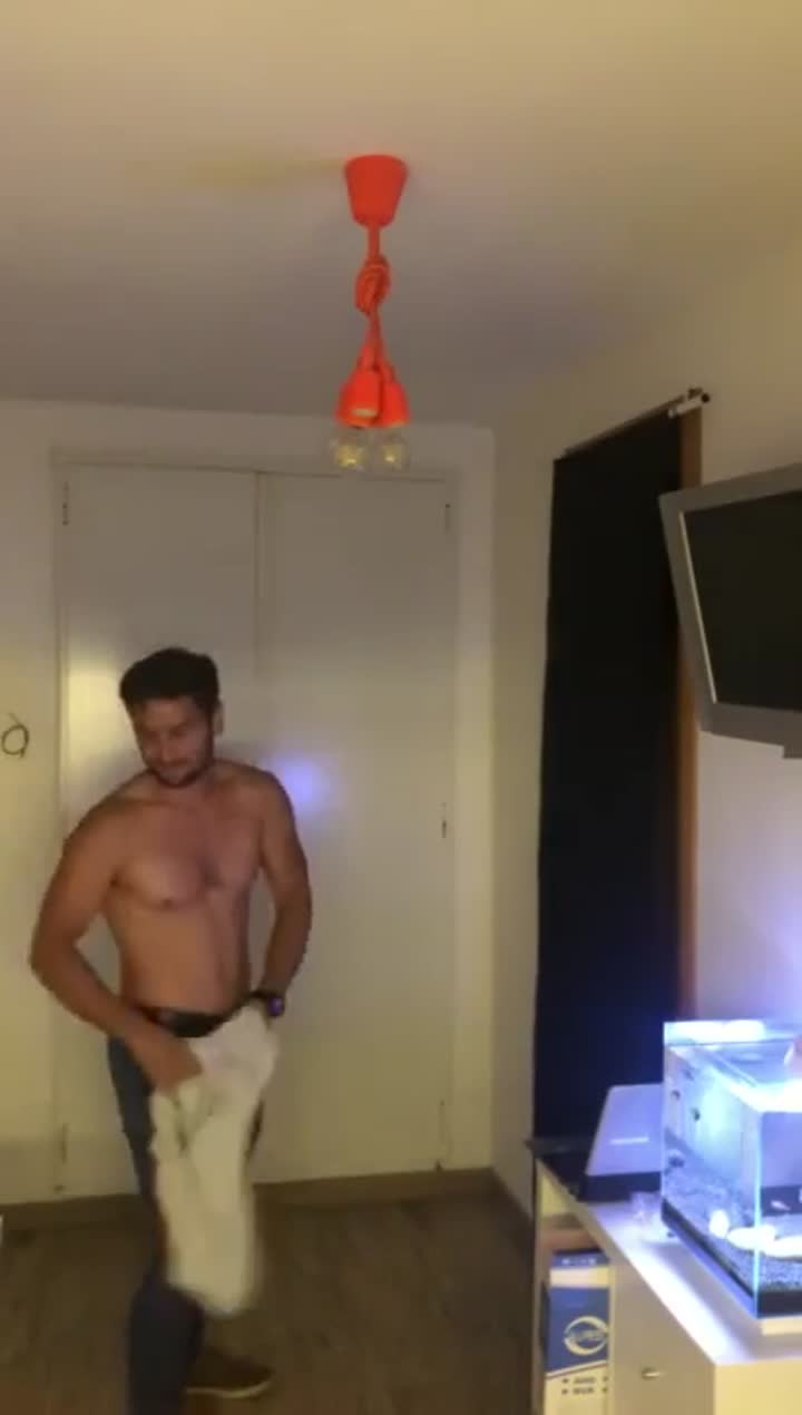 GH Stallion