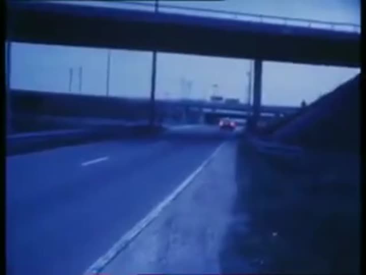 Les.Minets.Sauvages.de.Cadinot.1984