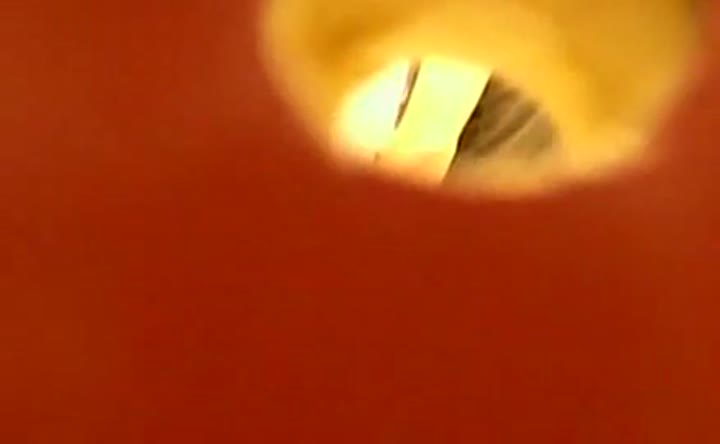 Wc Hole
