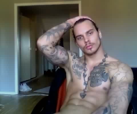 Tattooed Bull